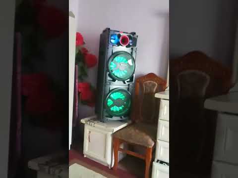 Pier Narciss. shoʻkoʻladniy zayac