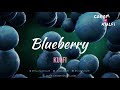 CREAM N KULFI BLUEBERRY KULFI ANIMATED