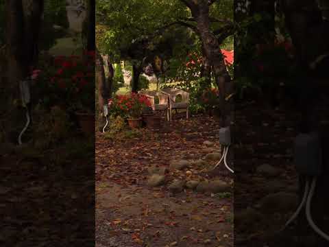 1992년 사기막의 가을