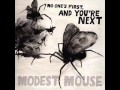 Modest Mouse - Satellite Skin