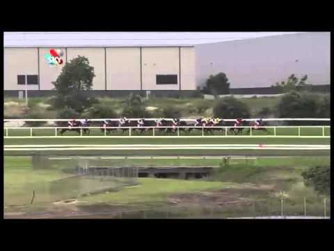 Watch Epaulette (Commands) win the G1 Doomben 10,000 at Doomben, Australia, 2013