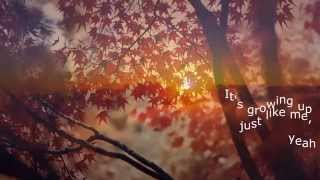 Pearl Jam - In My Tree (lyrics)