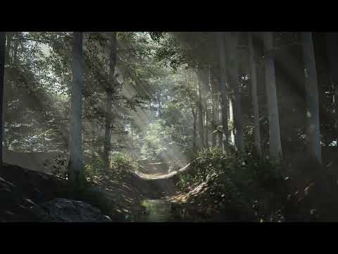 Forest Animation in 4K - Unreal Engine 5.1& DaVinci Resolve 18