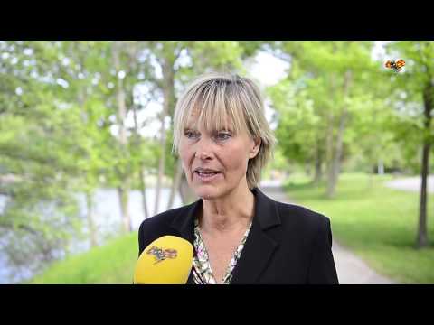 Här är farorna med rekordvärmen