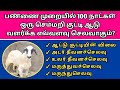 ஒரு செம்மறி கிடாய் குட்டியை நூறு நாட�