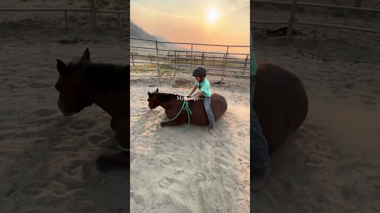 Healing Hooves: The Transformative Power of Equine Therapy 🐴⭐️