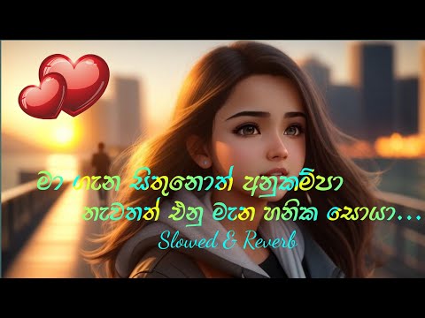 Thaniwennwpa Mese sadakal (තනිවෙන්නෙපා මෙසේ ) Slowed & Reverb song / sandun perera