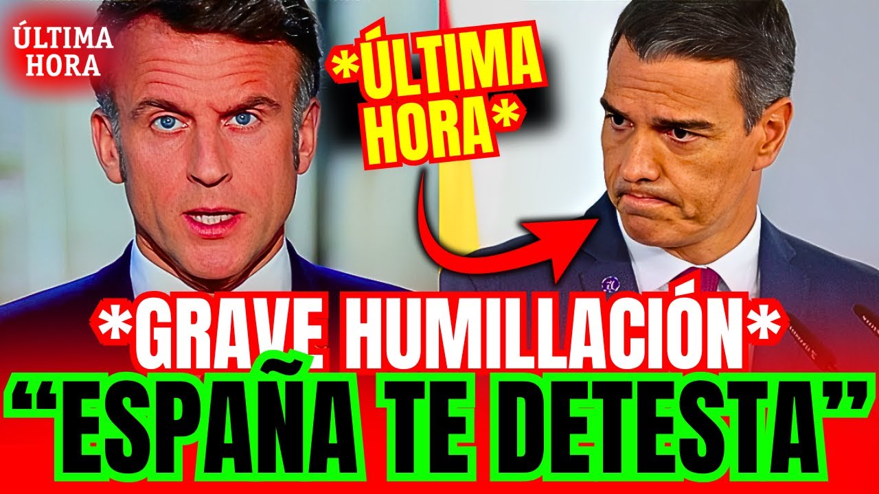 YouTube Thumbnail Downloader FULL HQ IMAGE