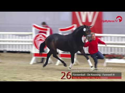 26  Fürstenball - De Kooning - Farewell III