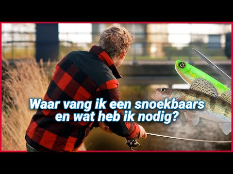 Waar vang je een snoekbaars. En waar moet je op letten!
