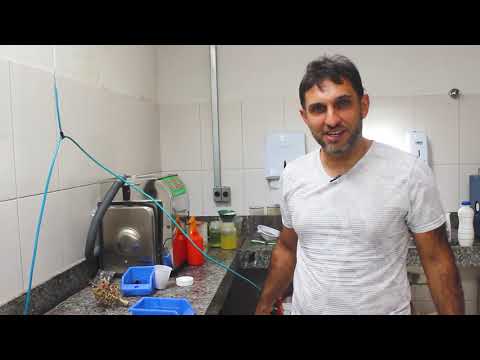Miniatura do vídeo 2