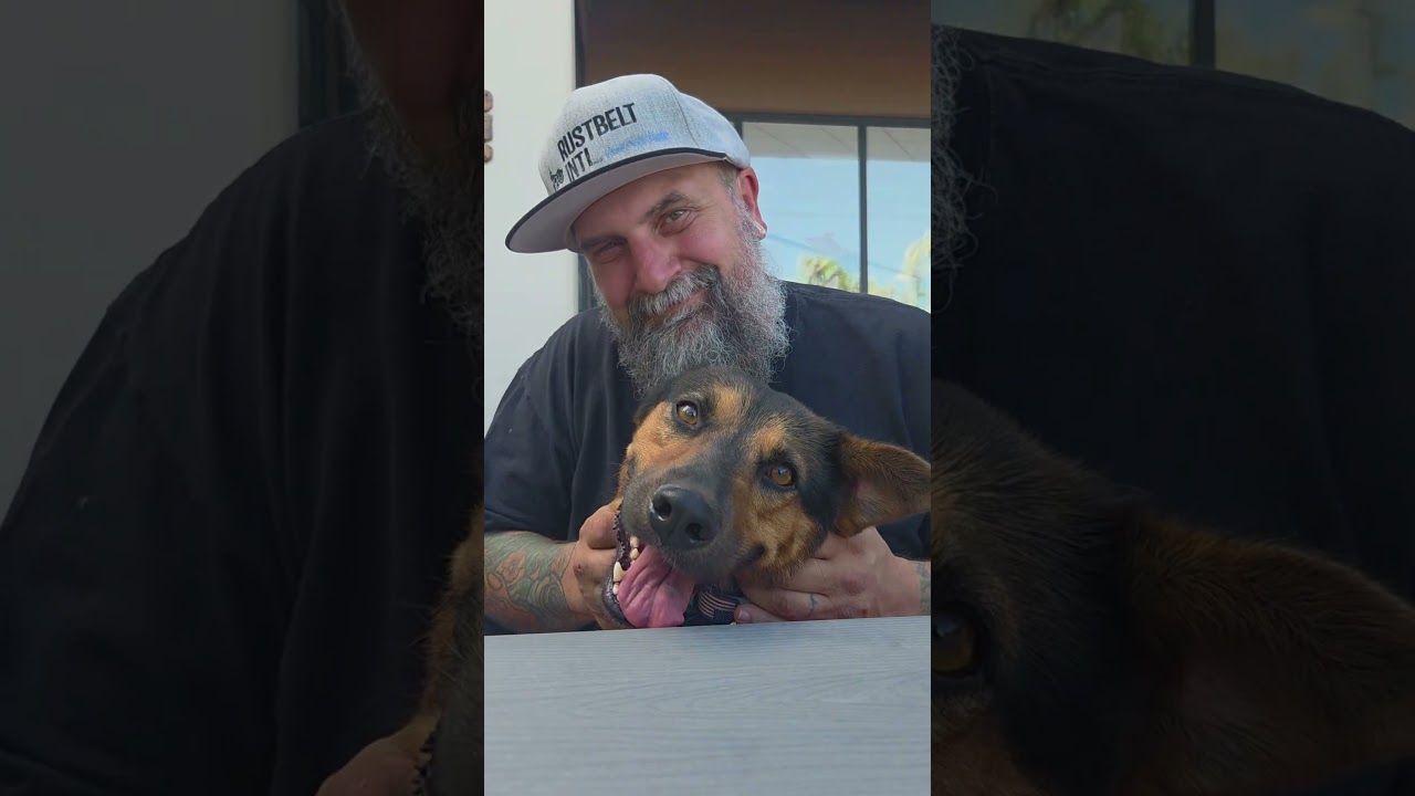 Enlarge Crowley the Best Buddy, a Adoptable mixed breed in Menifee, CA video 2/4