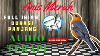 Download lagu Masteran Anis Merah Full Isian MP3 | Suara Burung Anis Merah Untuk Masteran MP3 mp3 Download lagu Masteran Anis Merah Full Isian MP3 | Suara Burung Anis Merah Untuk Masteran MP3 mp3