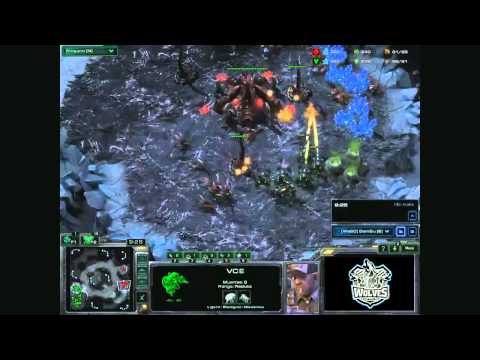 WolveSports.com - StarCraft II - Presentación de GamBu