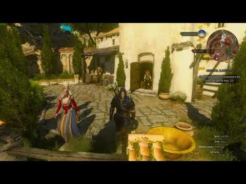 The Witcher 3 4 14 2019 11 18 56 AM