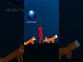 Fox An Actual Short
