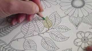 Secret Garden Colouring Book How I Colour A Leaf To