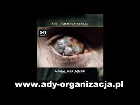 13. ADY - Świat w Którym Żyjesz. PŁC ORGANIZACJA.