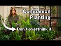 COMPANION PLANTING: 3 Tips to Make it Easy