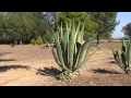 Madagascar 2011 Part 1