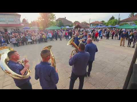 Duvacki Orkestar Dar Mar Knjazevac Antimovo Vidin Bugarska Духов оркестър Дар Мар Княжевац, Антимово