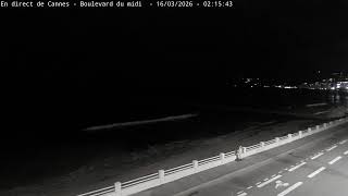 Cannes Boulevard du Midi live stream
