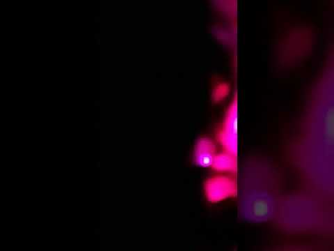 Maite Kelly Konzert am 07.04.2018 in Magdeburg