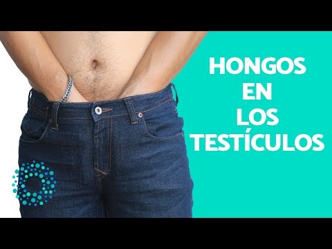 FUNGUS on the TESTICLES - Why do FUNGUS grow on the TESTICLES?