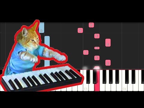 YouTube video about: How to play keyboard cat on piano?