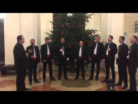 Murtilica - Klapa Croatia München