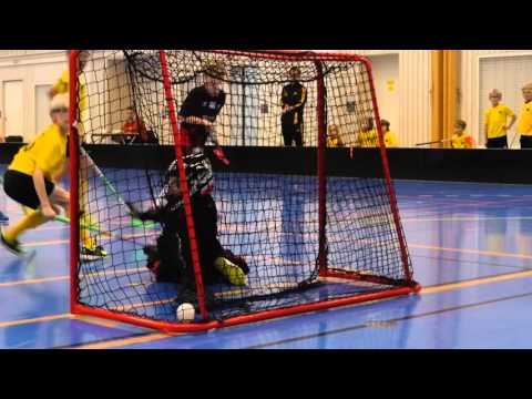 Rotebro P06 Innebandy