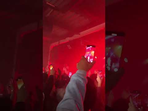 Dante YN Activist ürsprüngliche Version