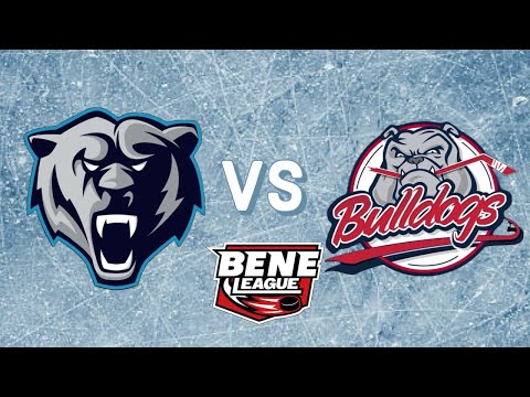 Highlights I BeNe League Playoffs 2024 Finale Spiel 4 EHC Die Bären Neuwied - Liege Bulldogs
