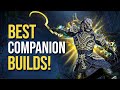 The Best NEW Companion Builds For Zerith Var And Tanlorin ESO Update 44 Companion Guide