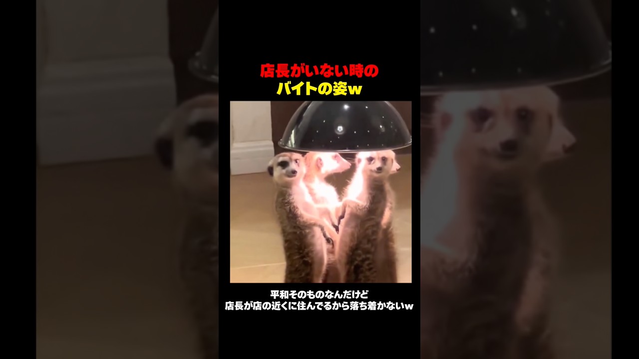 店長がいない時のバイトの姿ｗ