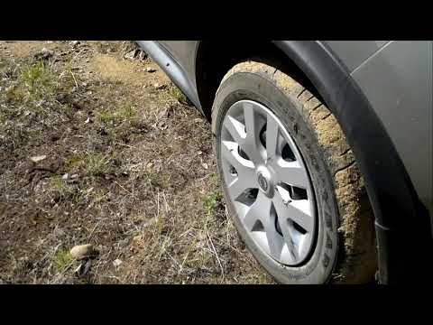 Muutama paarma -Lot of gadflys