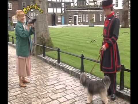 Come Outside - Dandelions