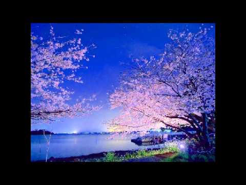 Getting The Fever - Lisa & Ace