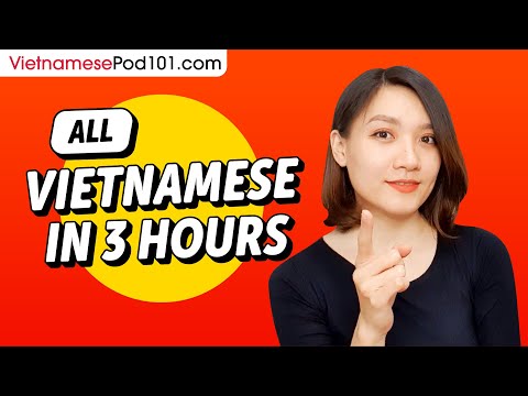 Learn Vietnamese in 3 Hours - ALL the Vietnamese Basics You Need
