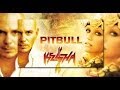 Pitbull ft Ke$ha - Timber (lyrics) 