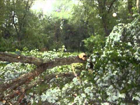 Sannie Birthday Greeting