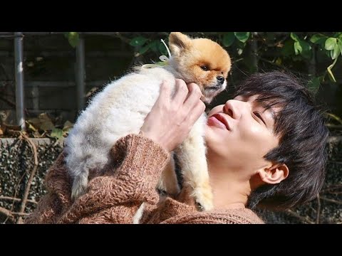 Lee min ho with cute pets😍😍😍❤❤❤