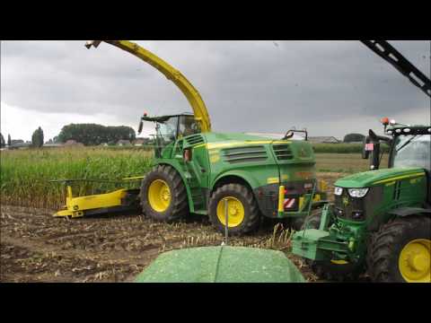Agro Service rds maïs 2018#chopping corn