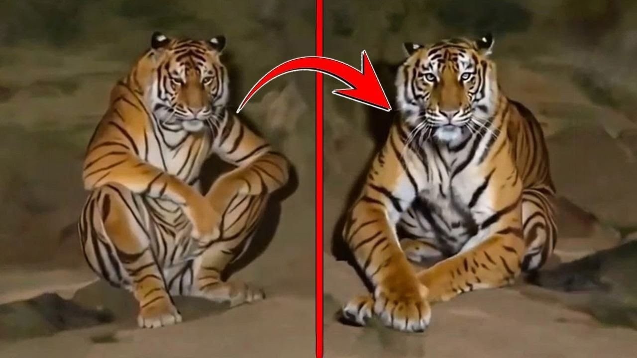 Scary TikTok Videos that Will Creep You Out!