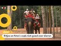 'Doe helemaal niets met wilde dieren op vakantie'