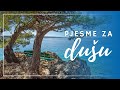 Pjesme Za Dušu Intrade Šufit Maslina Mišo Kovač Coce Soul Of Dalmatia Timbar Dalmacije