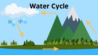Water Cycle Diagram- A Demonstration for Each Step of the Water Cycle