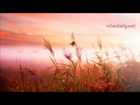 Musicas para Refletir