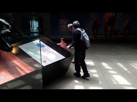 DMSSH 05.14.2019 Natural History Museum Sonia(5)