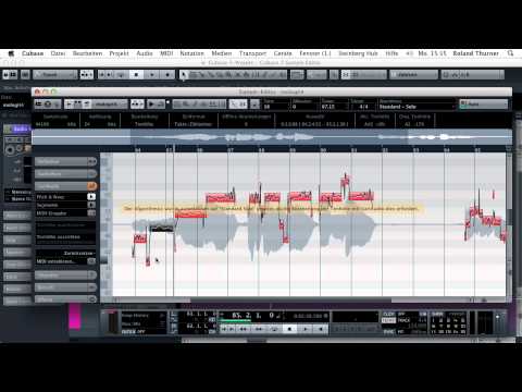 20.23 Cubase - Sample Editor (Korrigierte Version)